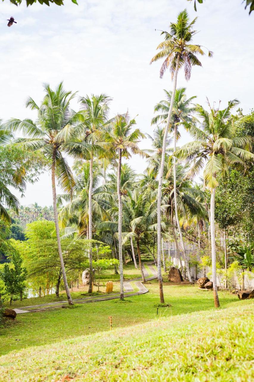 Mekosha Ayurveda Spa Suites Retreat & Resort Attingal Exterior foto